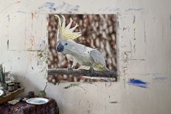 B1DF6395-4EF7-48A7-B3DC-F18AAE225AE4