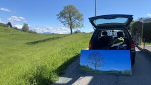 Quadro olio su tela di un paesaggio ad Arosio con albero davanti al paesaggio dipinto