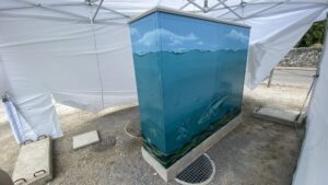 Murale 360 gradi su un quadro elettrico a Caslano di un acquario con Luccio Carpa e altri pesci