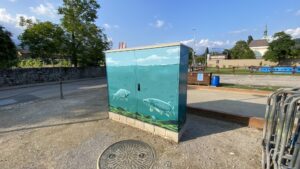 Murale 360 gradi su un quadro elettrico a Caslano di un acquario con Luccio Carpa e altri pesci