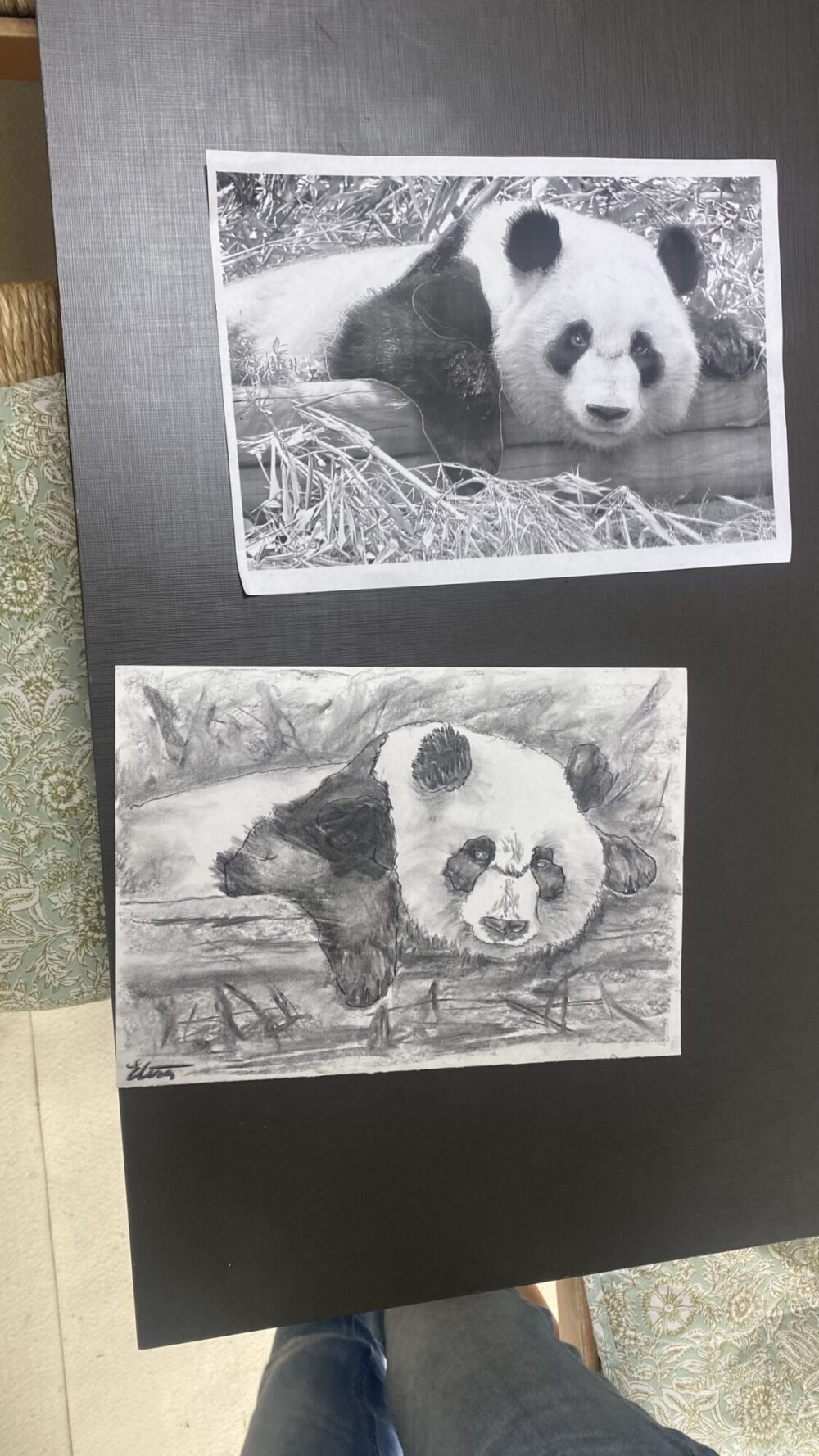 Riproduzione con il carboncino di un panda copiato da una foto A4