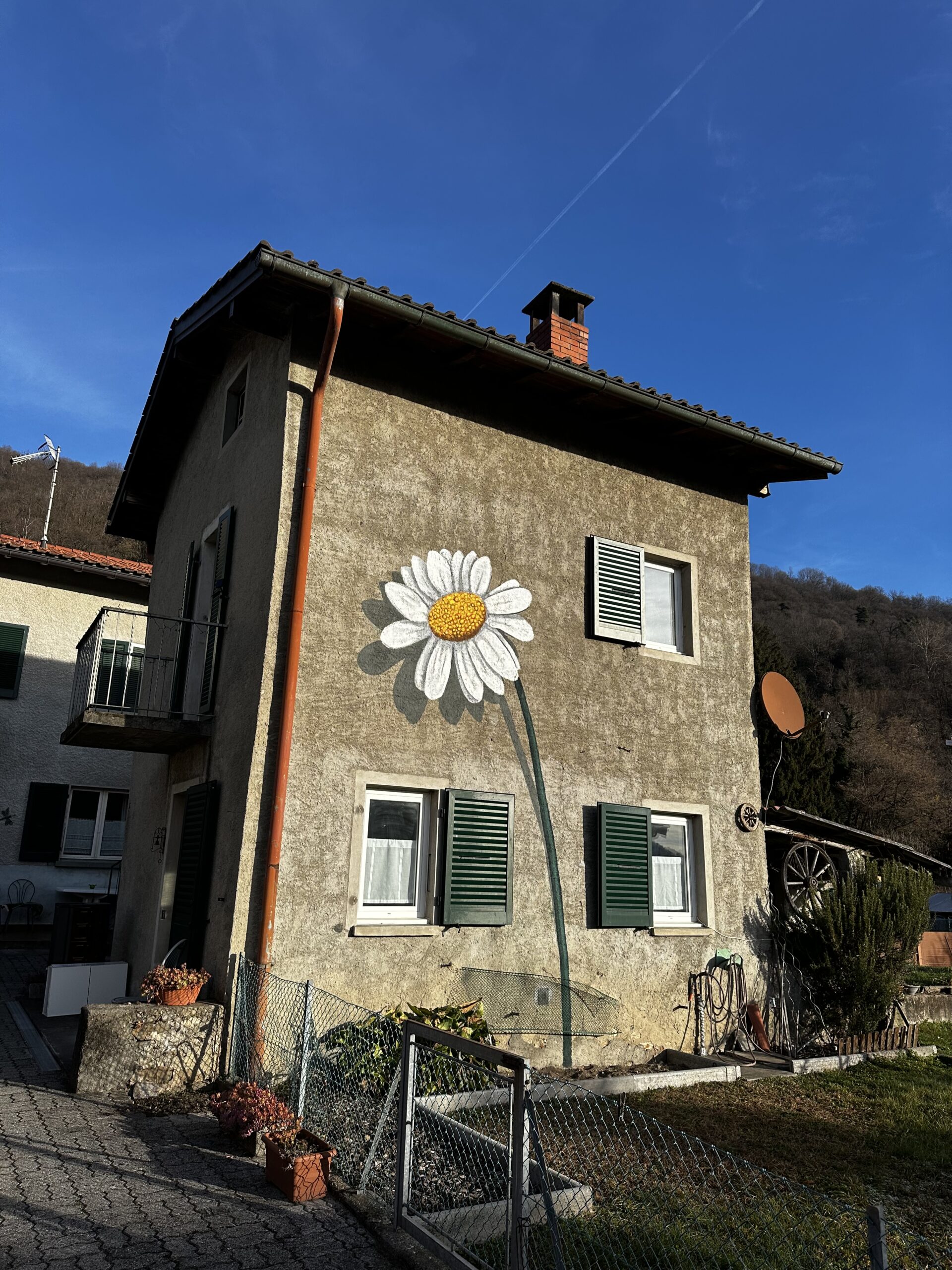 Murales margherita atelier Sessa Murales margherita atelier Sessa